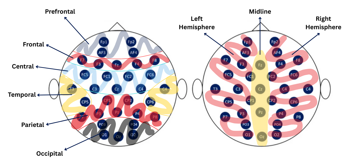 DEAP Electrode Mapping overlaid with brain regions